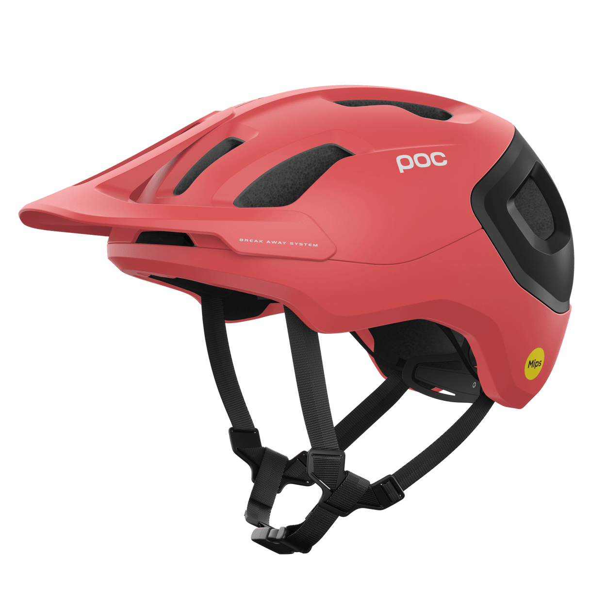 Axion Race Mips - BikePath