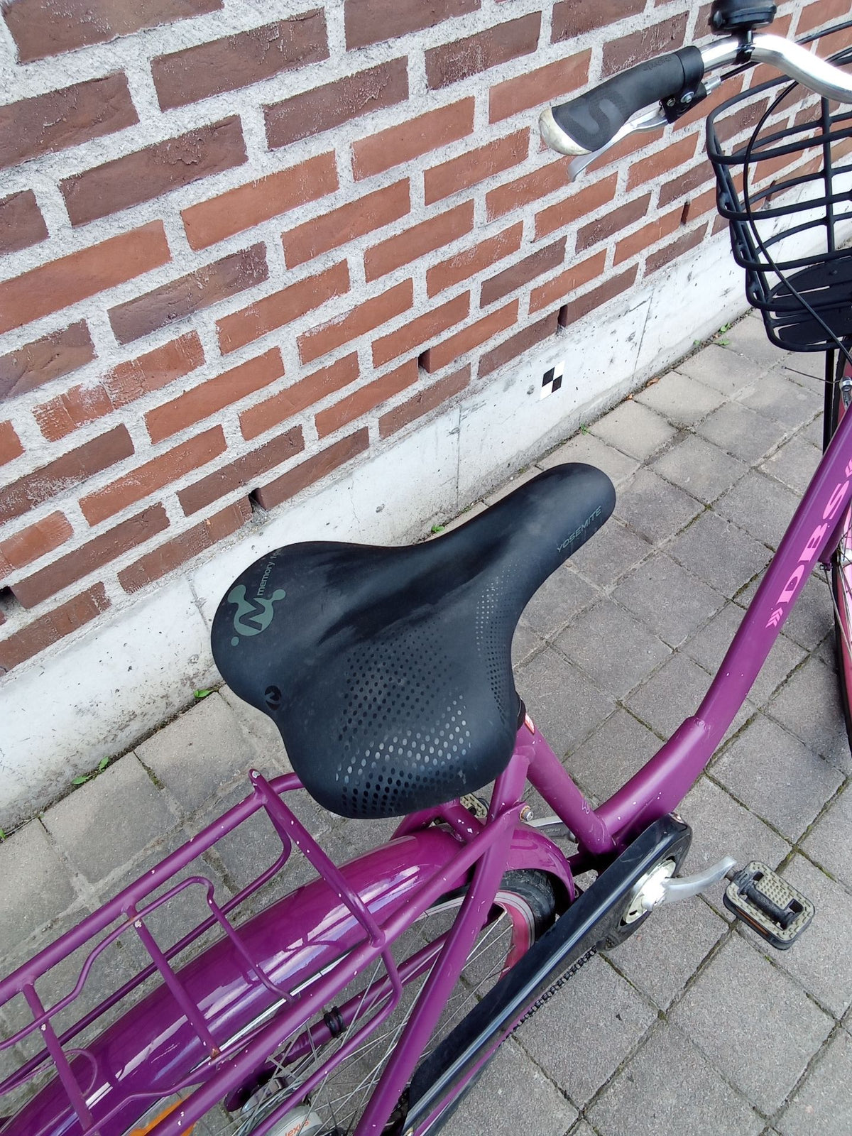 DBS – SADDLE