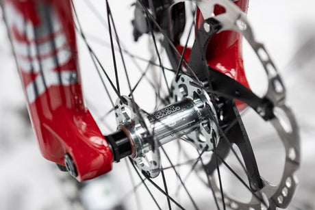 Nära bild på cykelhjul med blank nav och röd gaffel, skivbroms synlig