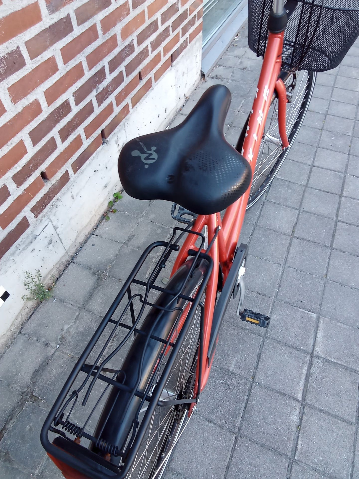 king – SADDLE