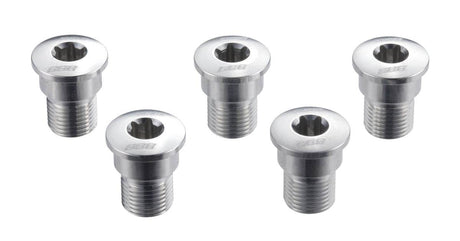 fem silverfärgade vevpartibultar i aluminium med insexhuvud för cykel