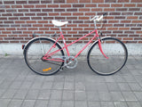 Rex – FULL_BIKE_RIGHT