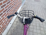 DBS – HANDLEBAR
