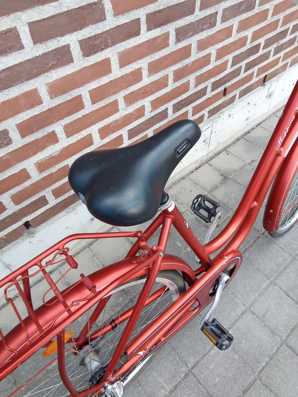 Rex – SADDLE