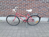 Rex – FULL_BIKE_LEFT