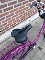 DBS – SADDLE