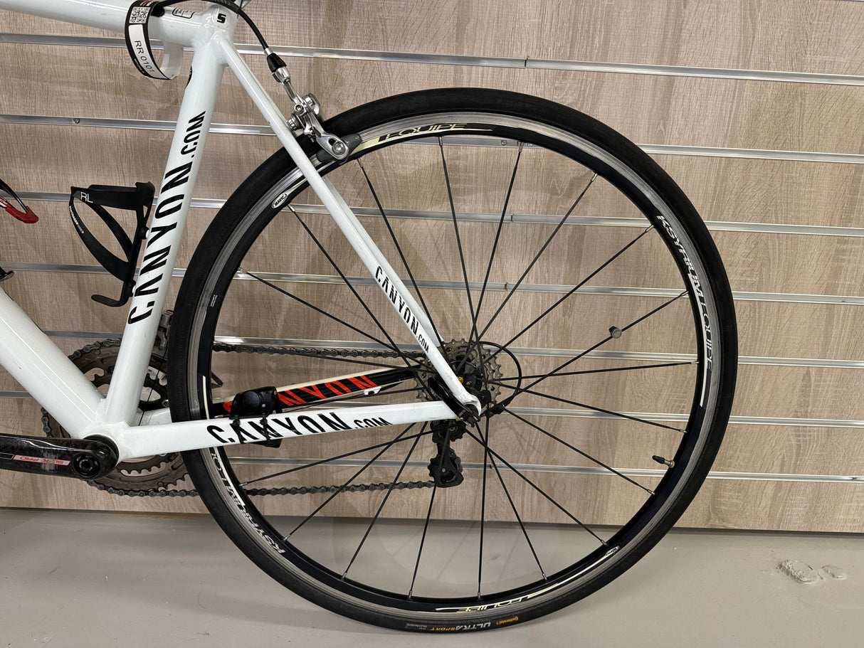 Vit Canyon racercykel bakhjul och ram med Continental Ultra Sport däck