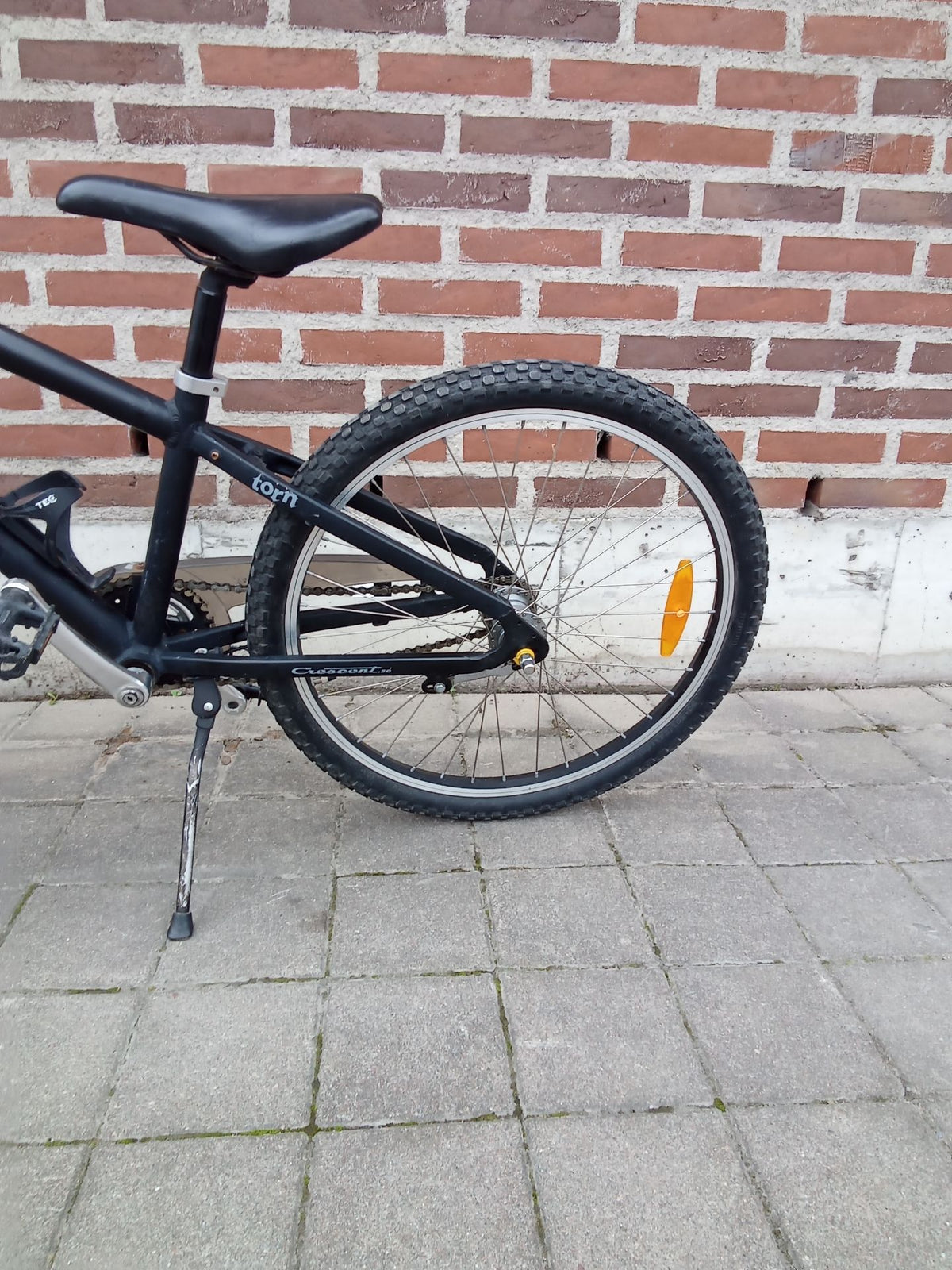 Crescent Torn – REAR_WHEEL